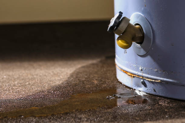 Best Ceiling water damage repair  in New London, WI