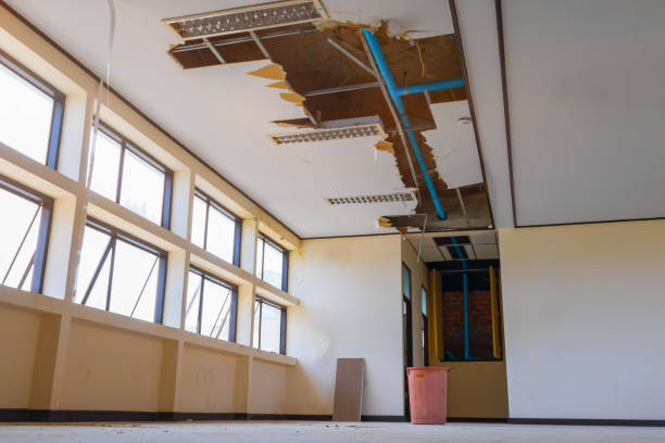 Best Water damage restoration near me  in New London, WI