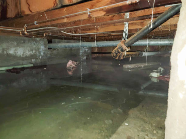 Best Water damage restoration cost  in New London, WI