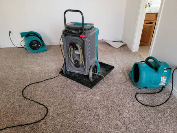 Best Water damage cleanup near me  in New London, WI