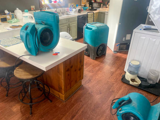 Best Water damage restoration mold remediation  in New London, WI