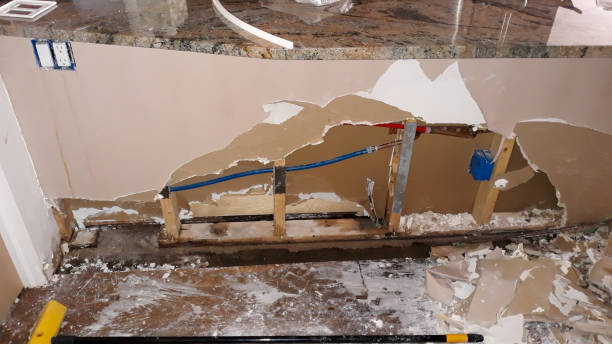 Best Water damage cleanup near me  in New London, WI