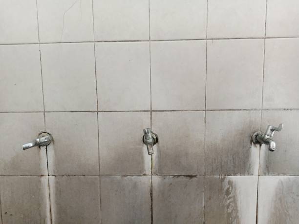 Best Flood restoration services  in New London, WI