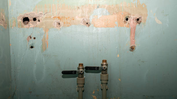 Best Carpet water damage restoration  in New London, WI