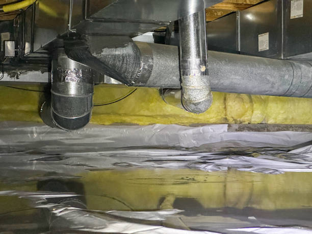 Best Local water damage restoration  in New London, WI