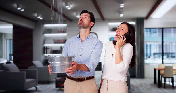 Best Basement water damage restoration  in New London, WI