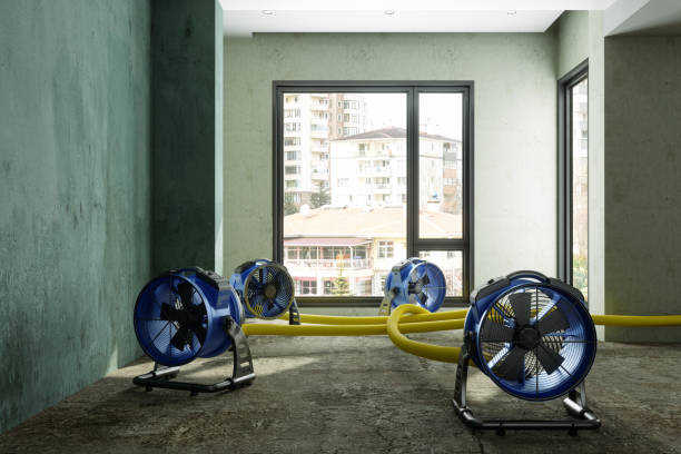 Best Emergency water damage restoration  in New London, WI