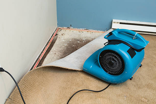 Best Flood damage cleanup  in New London, WI
